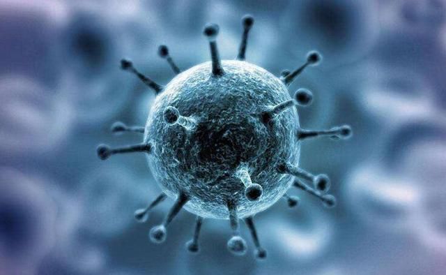 HBV携带者是如何与病毒共存,并活得比常人还