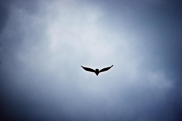 月亮天蝎VS月亮射手:差异巨大却能和谐相处!