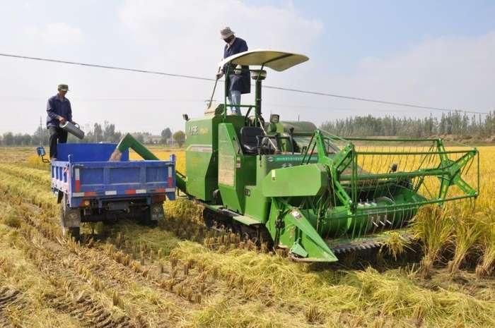 旱稻改水稻, 鱼台大米迎来了发展的春天