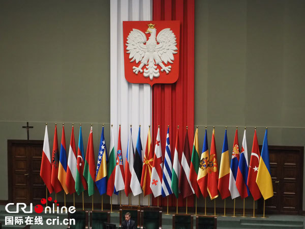 会议现场参加国国旗.