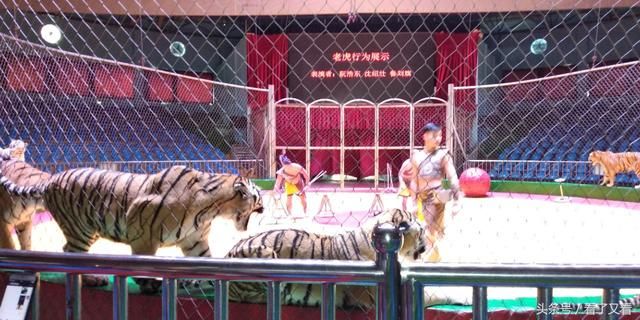 中国电信中国联通合并的本质 合并后叫中国联