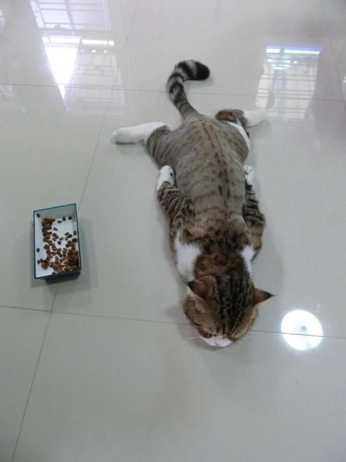 爆笑段子:在外打工,和一大姐合租一间房