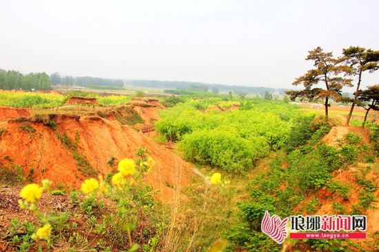 临沂地方人大紧急提案麦坡地震断裂带待保护