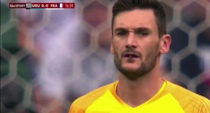 2018世界杯昆虫成灾,法国门将赛中误吞蜻蜓,曼