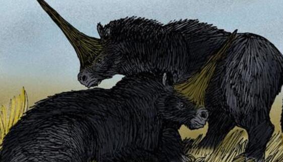 科学家发现独角兽头骨化石 形如犀牛而非马