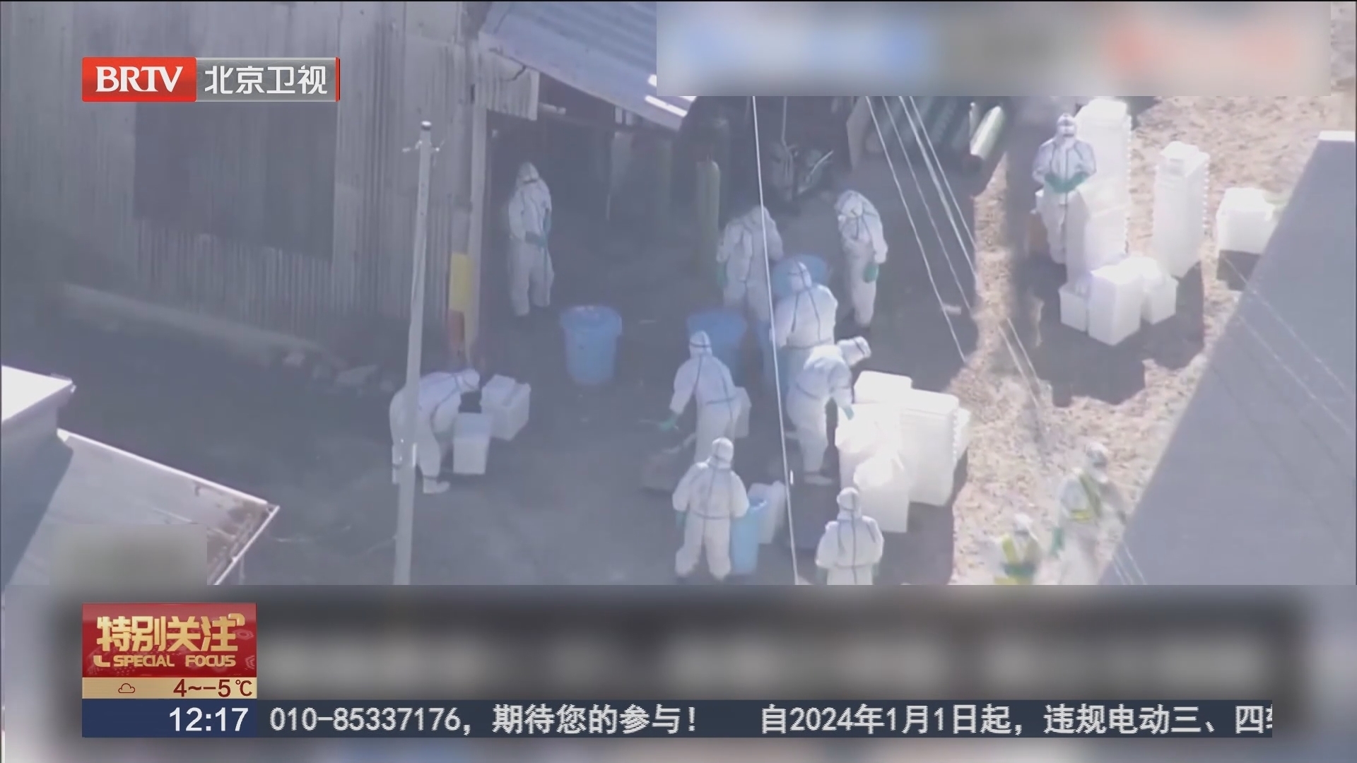 日本出现今冬首次禽流感疫情 约4万只鸡被扑杀_北京时间