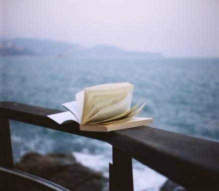 电子信息行业第一龙头股,中报暴增8569%今现