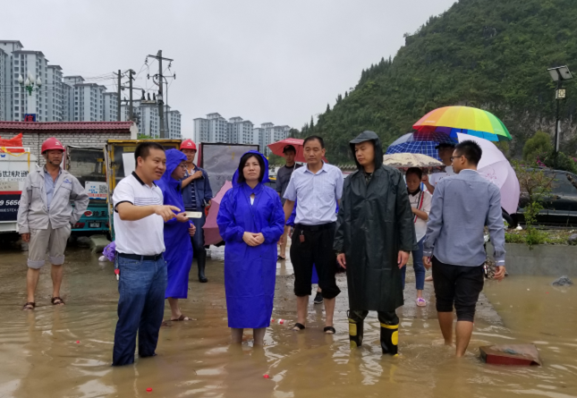 郑梦英查看降雨监测及受灾情况