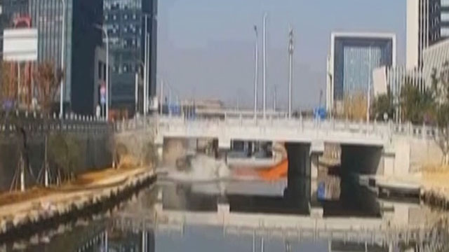 《红绿灯平安行》20191224桥上两车相撞