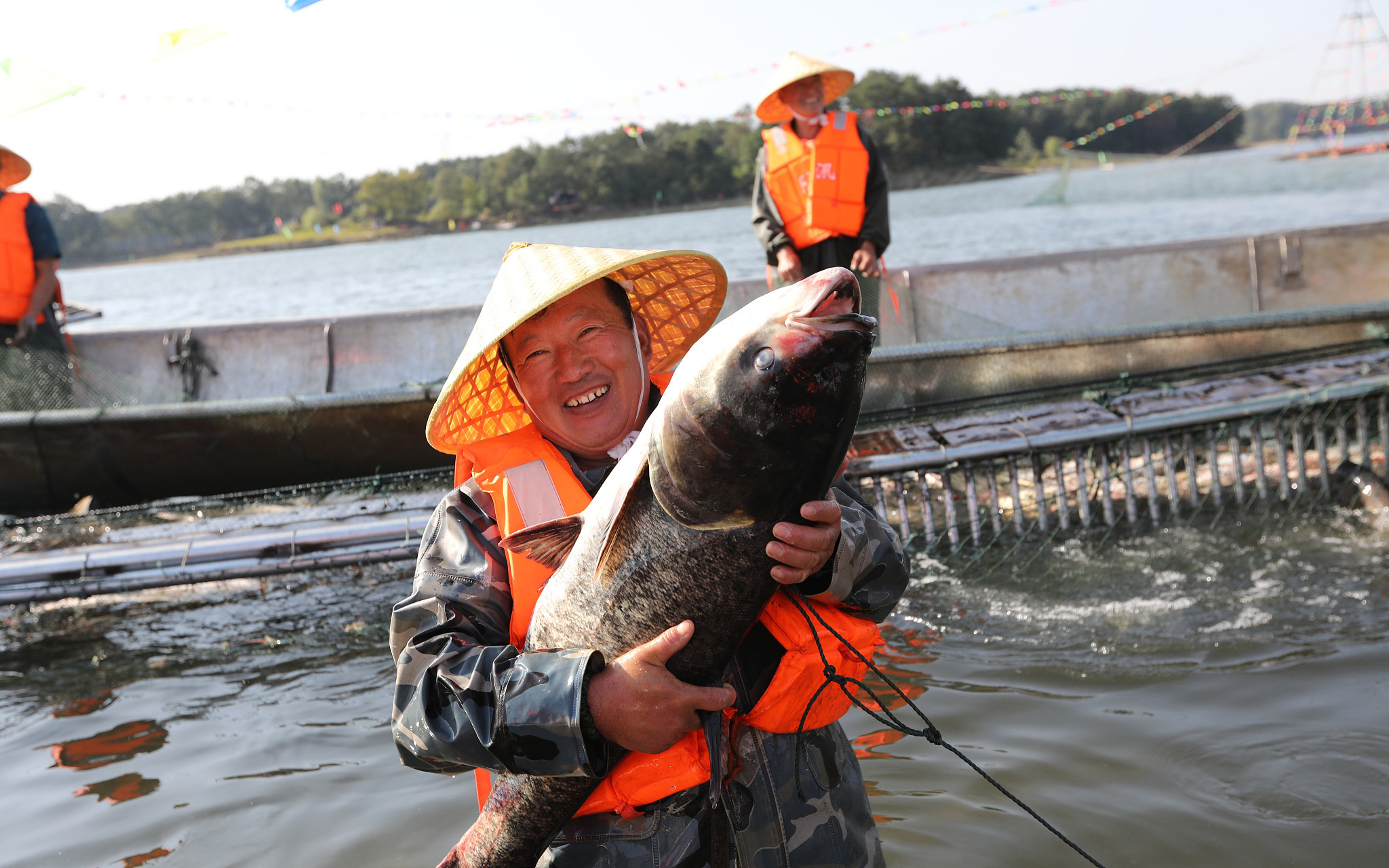 水库开渔丰收 36斤头鱼拍得68800元