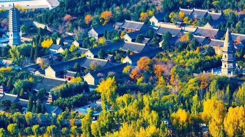 美到藏不住！快来云居寺，带您寻找最美的秋天