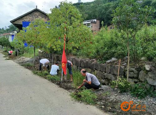 新化吉庆镇老塘冲村:稳步推进美丽乡村建设(图)