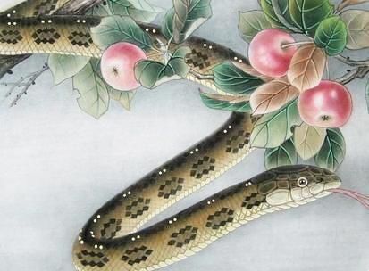 属鼠的人,生来拥有贵人运,八面玲珑,嘴里能"开花",在2018年内运势极佳