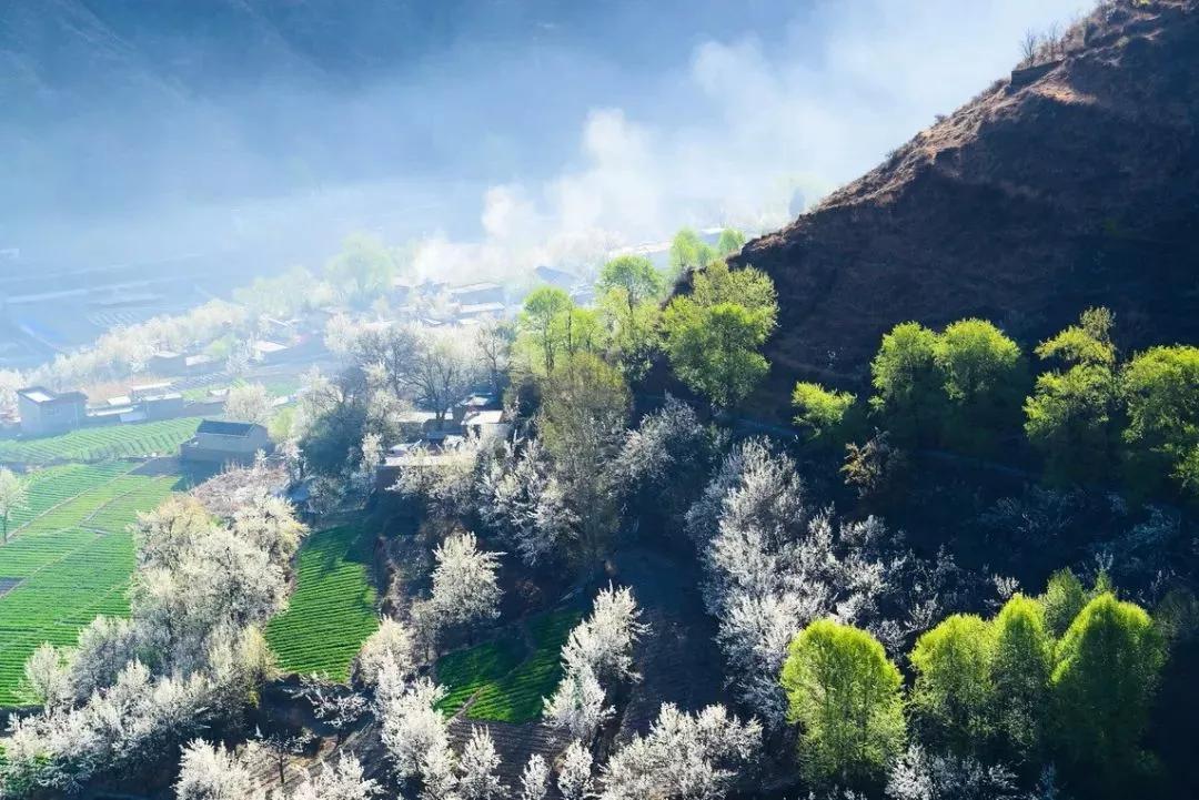 2018四川早春赏花地图,来自花花世界的诱惑