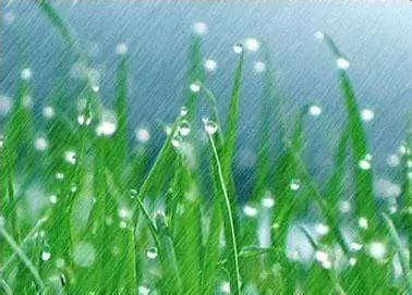 湿气重是不是不能喝水?水喝多会不会增加肾脏