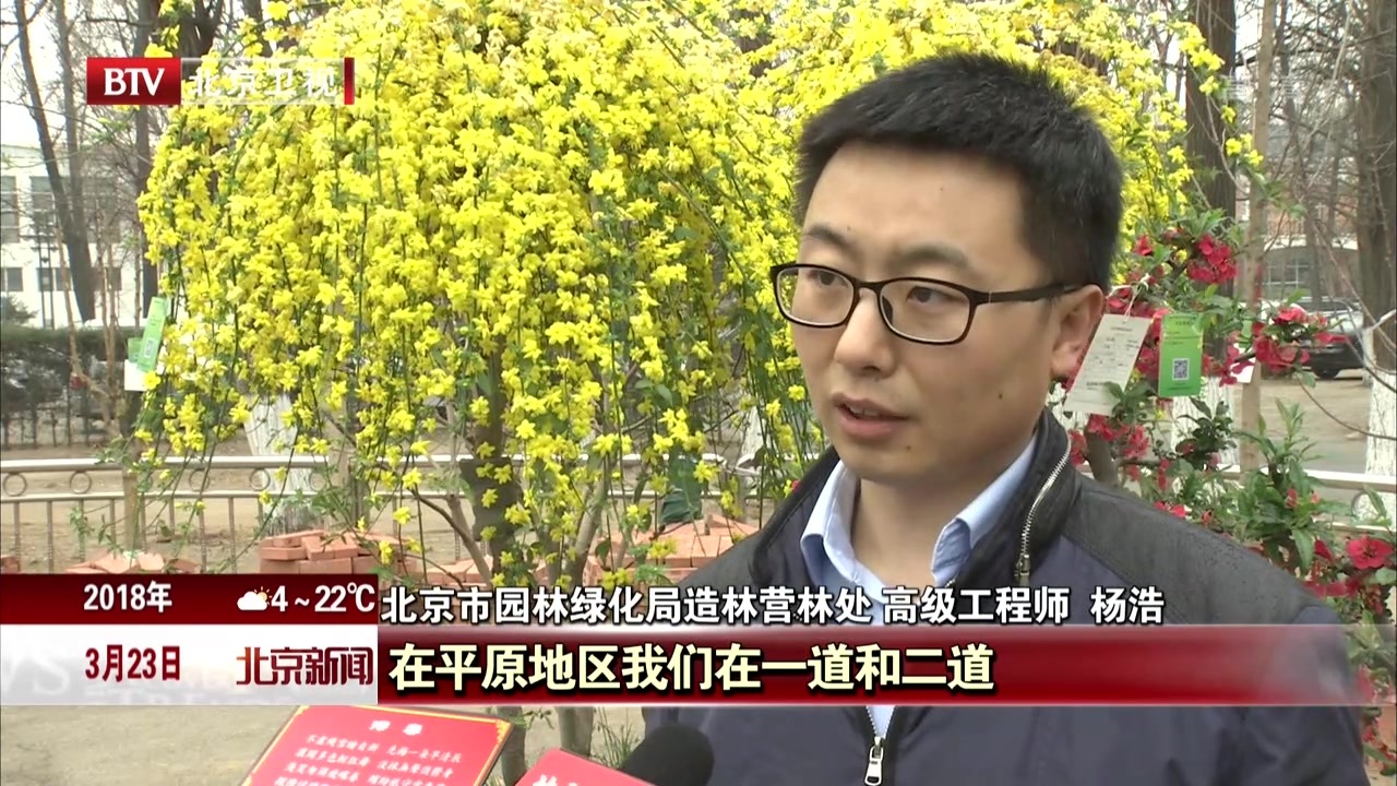 北京新一轮百万亩平原造林工程启动 4100余万株苗木助力绿化建设 北京新一轮百万亩平原造林工程启动 4100余万株苗木助力绿化建设