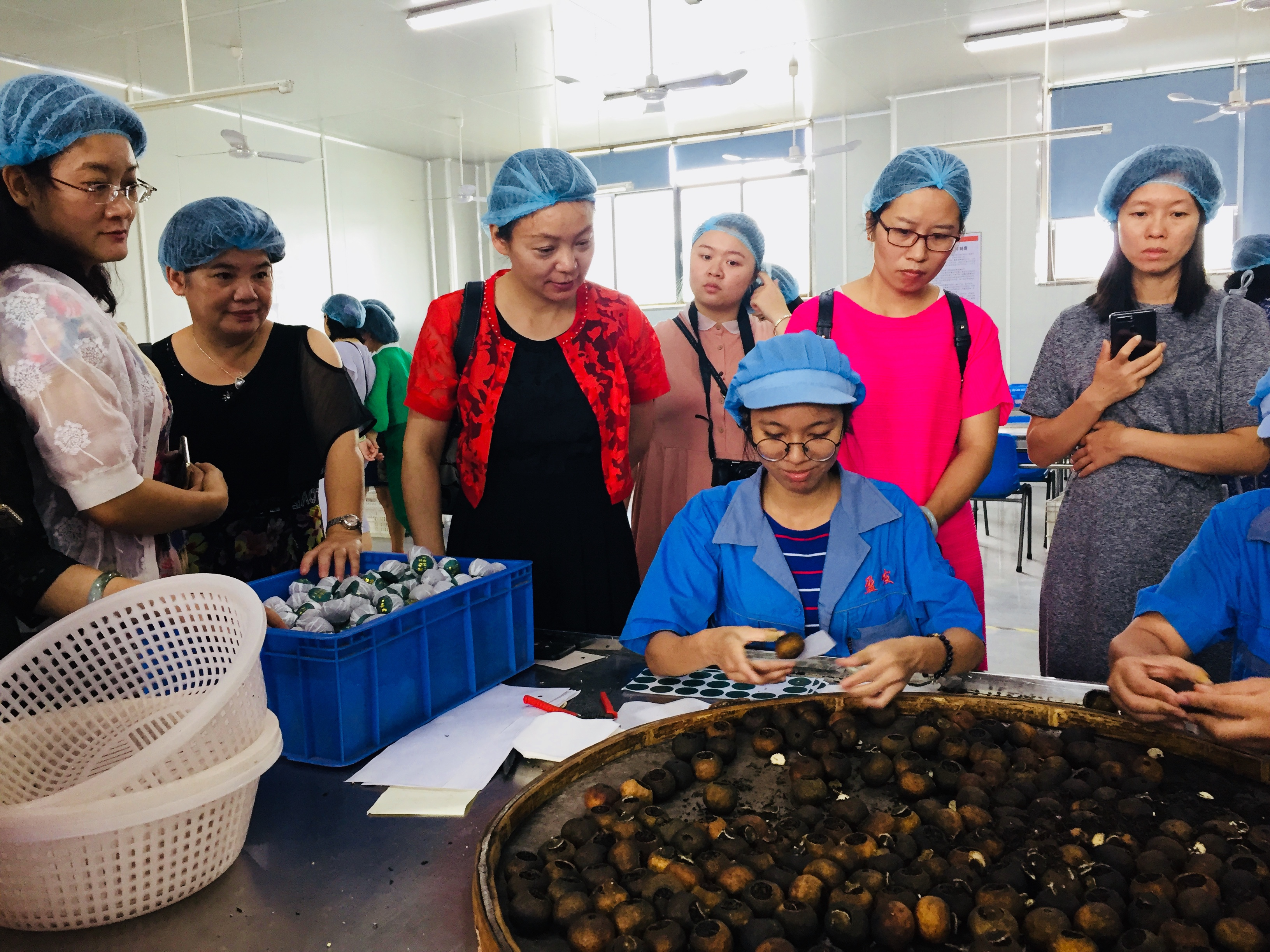 东莞市组织各商协会女企业家到佛山、江门学习