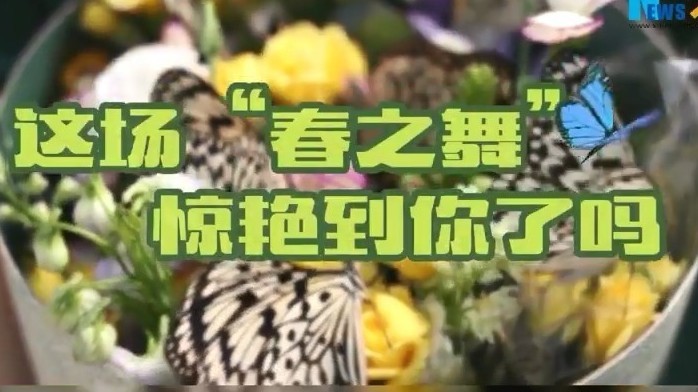 春来万物生!这场美妙的“春之舞”,惊艳到你了吗? 春来万物生!这场美妙的“春之舞”,惊艳到你了吗?