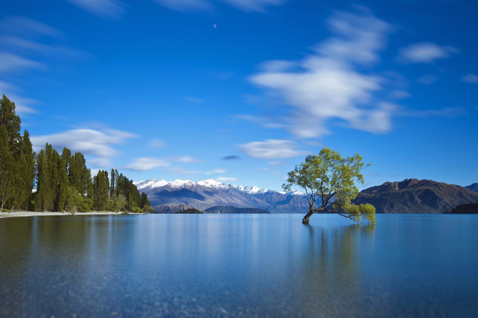 新西兰移民百科 | 新旧护照可以一起使用入境新