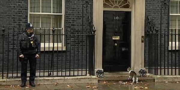 给个眼神自己体会！首相猫“眼神杀”让警察开门