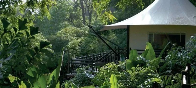 只有15顶帐篷,它却是全球单晚房价最贵的四季