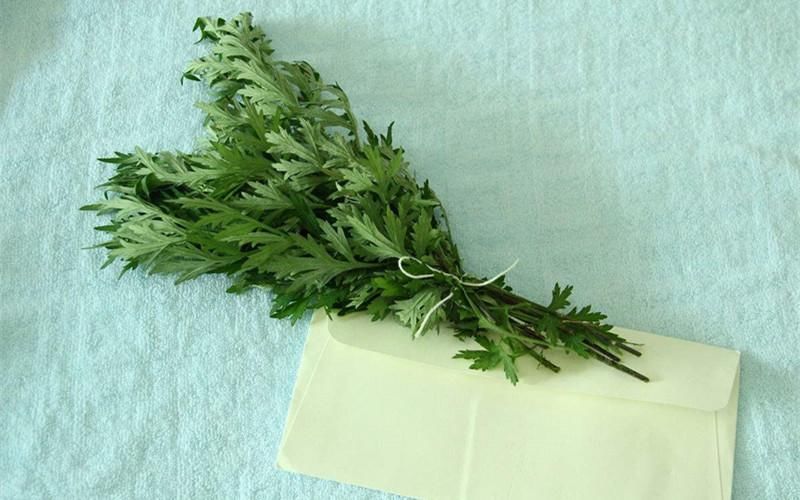 养胃就是养胃黏膜,这种东西每天吃一点,修复胃