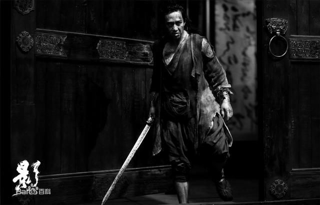 2018贺岁片,张艺谋 邓超夫妇之《影》!