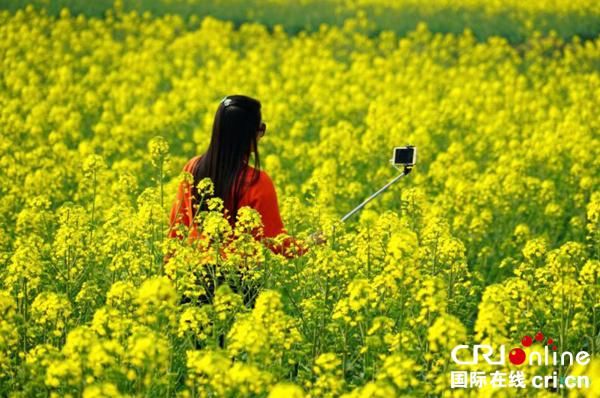 眉山仁寿县青岗乡:一朵小菜花撬开乡村振兴门