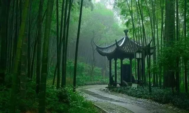 人只有学会低头,方能抬头!(经典好文)