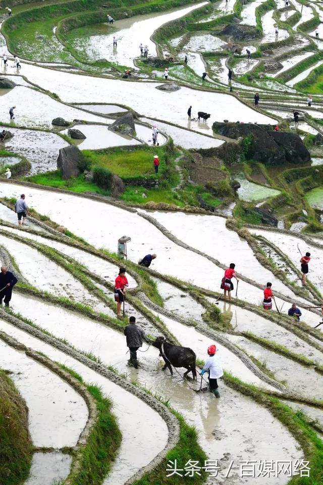 CCTV13新闻直播间|广西龙胜:千层天梯闹春耕