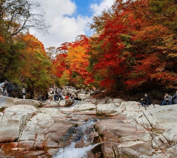 四川的巴中是四川最穷的市吗?为什么就是发展