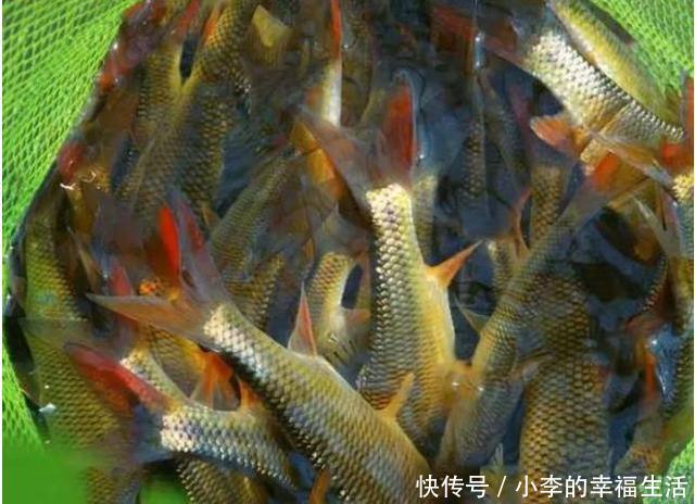 钓鱼绝技之滑铅(跑铅)钓法 走水流水必杀技术