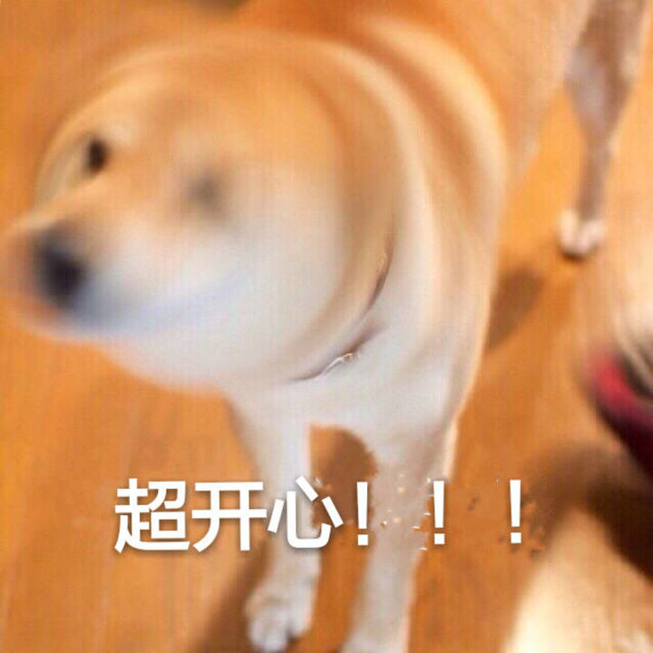 团糖一经撒出,团饭们都如同网友制作的狗狗系列表情包,超兴奋~还会