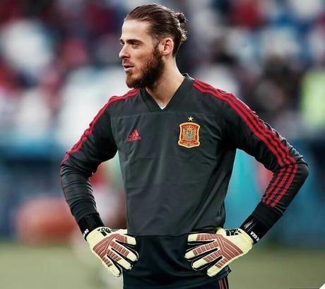 组图:俄罗斯世界杯尴尬门将 德赫亚仅一次扑救