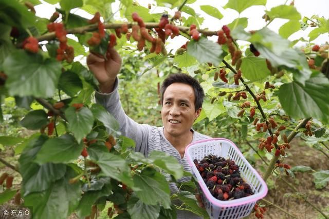 男人肾好不好,手上一个部位能看出来!3种症状