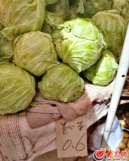 济南菜价降两成 一元菜重现市场