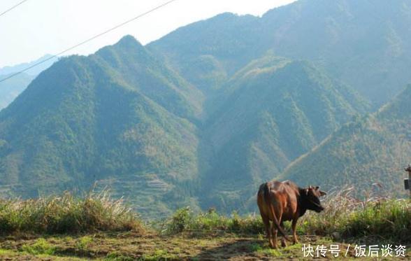 中国传统古村落,藏于深山的世外桃源,被开发