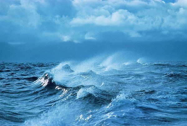 蜗牛图片及介绍 t01f8d6a8ec4cb18c05.jpg?size=600x405