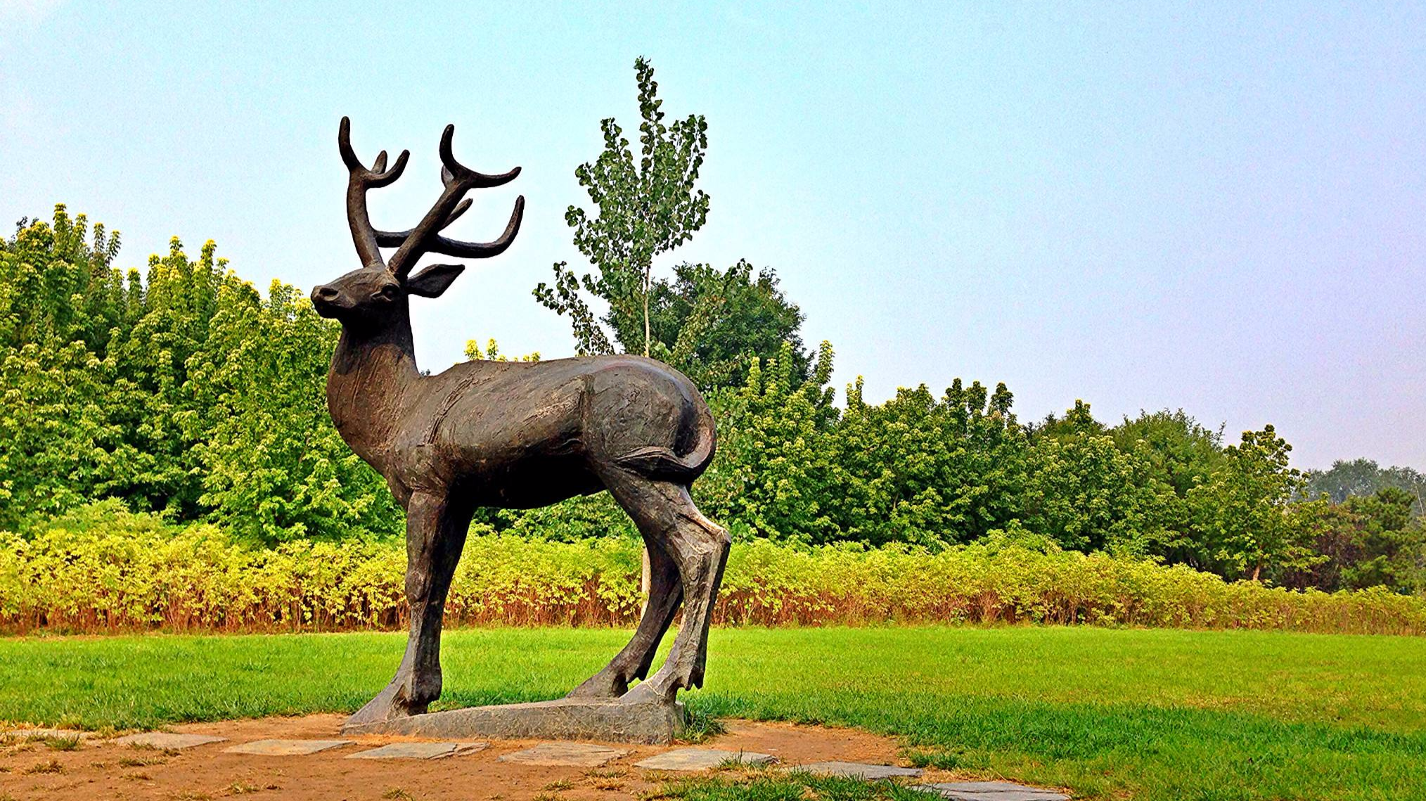 去南海子麋鹿苑 看神奇的"四不像"