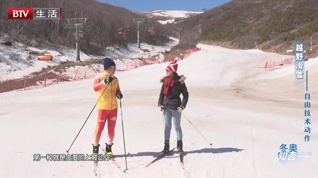 《冬奥知否》越野滑雪——自由技术动作