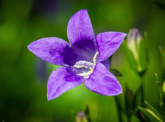 肠蠕动缓慢排便未尽感 几天拉一次没有便意