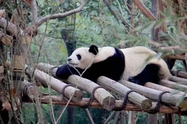 最适合夏季旅游的8个城市,你去过几个?