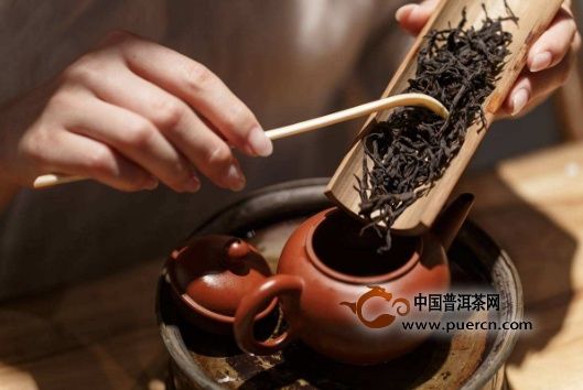中国工夫茶泡法十一程式