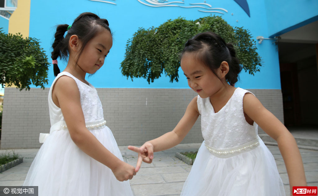 可爱的他们非常招人喜爱。