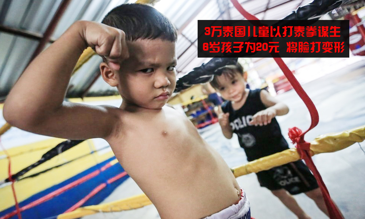 3万泰国儿童以打泰拳谋生 为20元将脸打变形 3万泰国儿童以打泰拳谋生 为20元将脸打变形