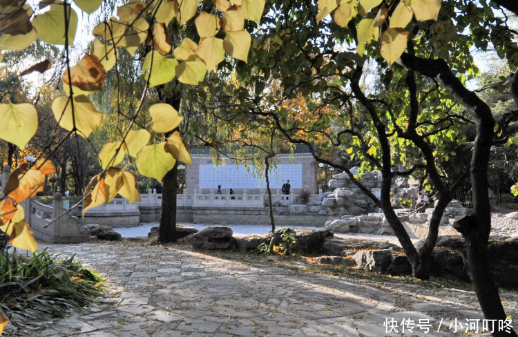 应届毕业生起薪超一半985,这所不知名的非21