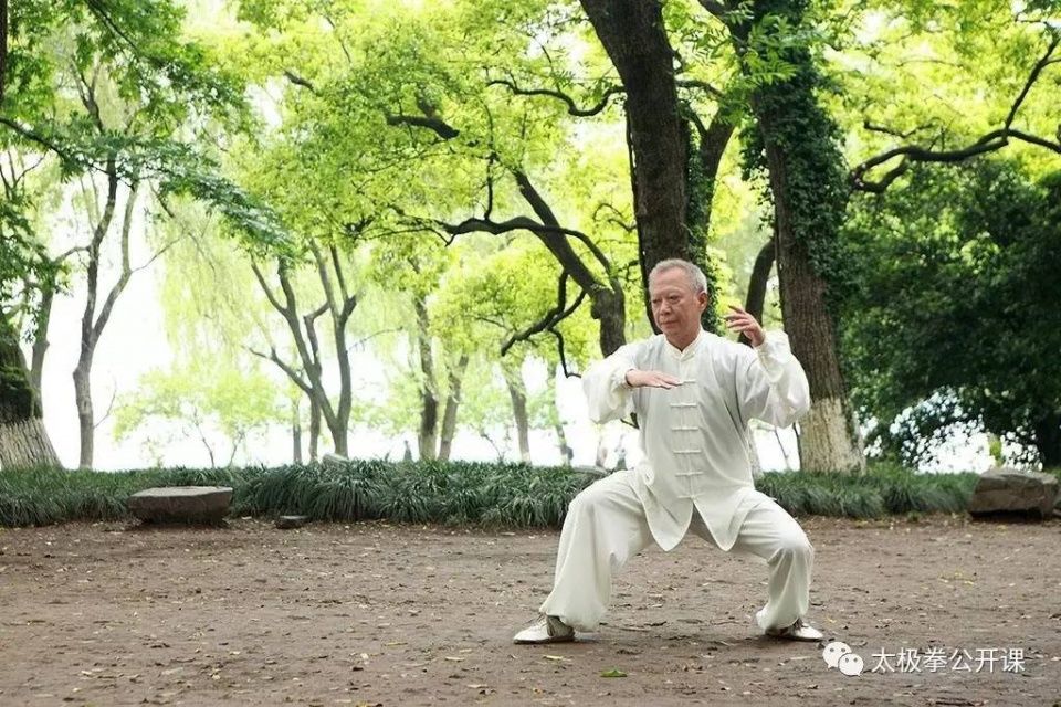 陈炳老师一语道破练好太极拳的捷径!