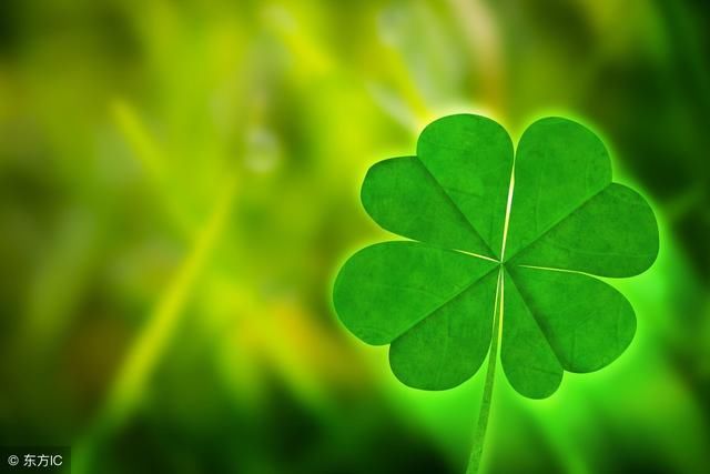 18015期双色球双枪定蓝法,又一次连准三期,期