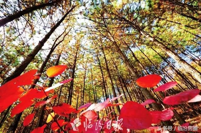 临汾大宁有个二郎山,这里风景美如画!