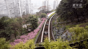 开往春天的列车：穿楼轻轨的下一站——春暖花开